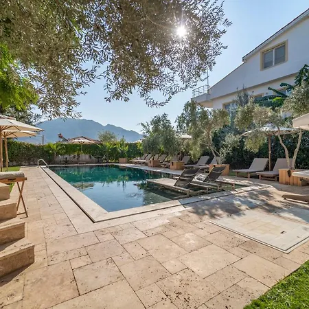 Massi Near The Sea *