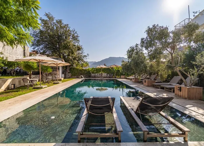 Hotel Massi Near The Sea