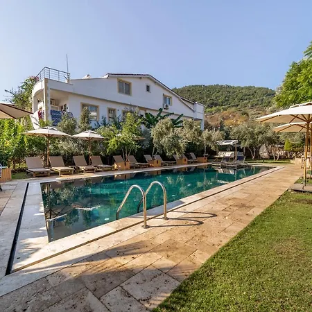 Massi Near The Sea *